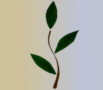 537161_530429153662218_67213236_n